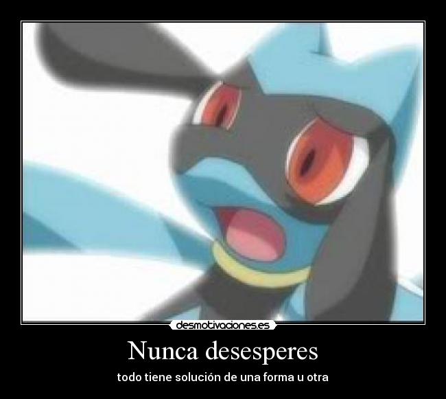 carteles riolu nunca desesperes desmotivaciones