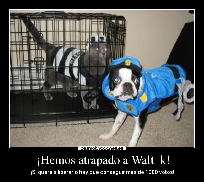 ¡Hemos atrapado a Walt_k! - 