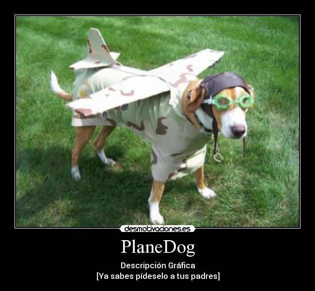 PlaneDog - 