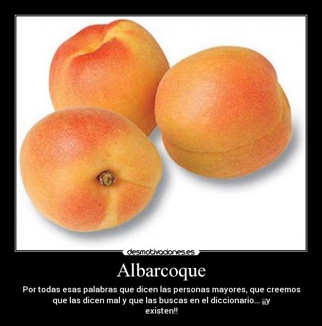 Albarcoque - 