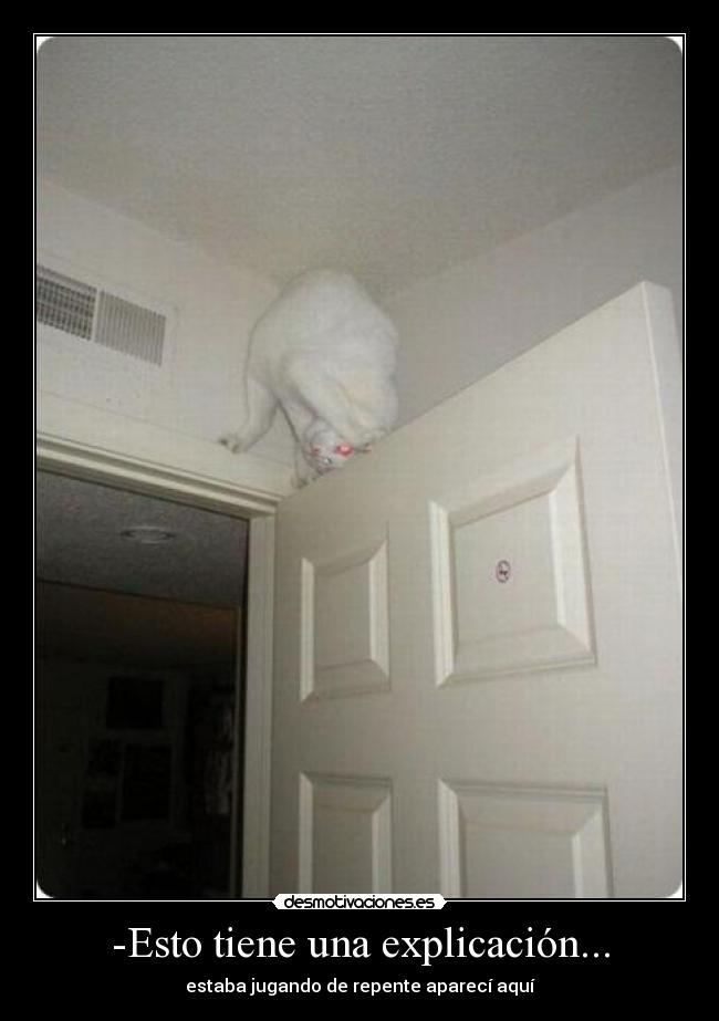 -Esto tiene una explicación... - estaba jugando de repente aparecí aquí