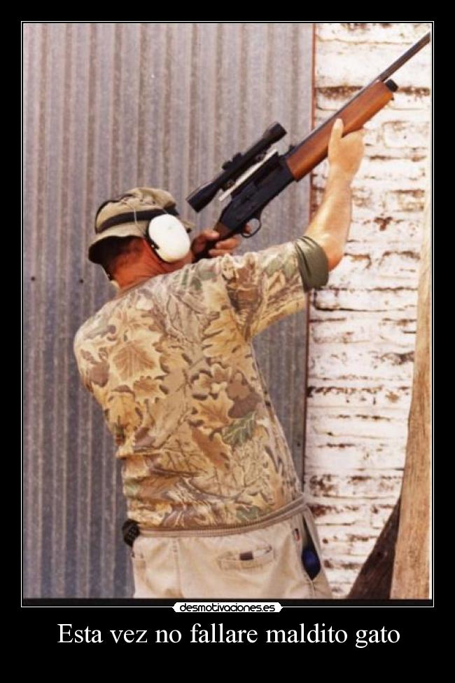 carteles matare comere brasa sin clanes hay paraiso asique pastar rescepto desmotivaciones