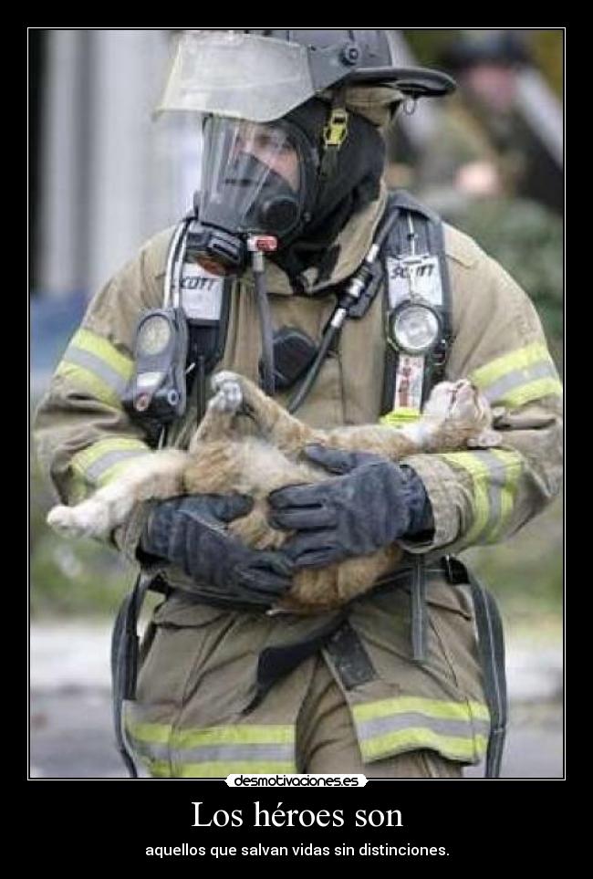 Los héroes son - aquellos que salvan vidas sin distinciones.