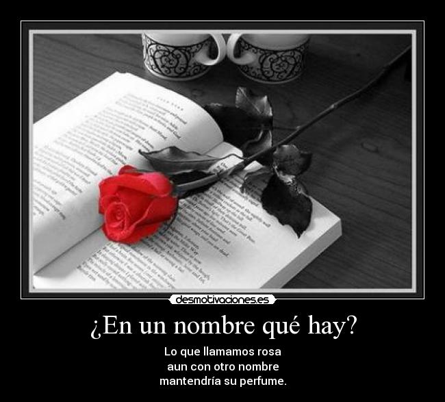 ¿En un nombre qué hay? - 