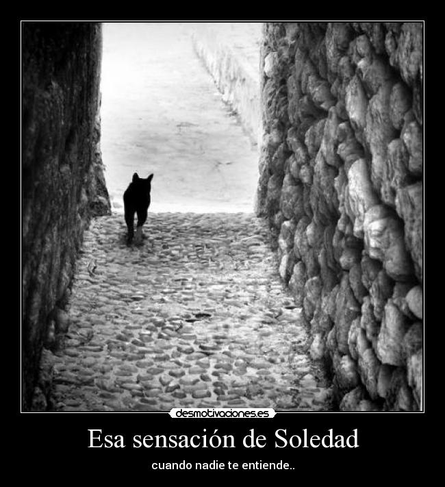 Esa sensación de Soledad - cuando nadie te entiende..