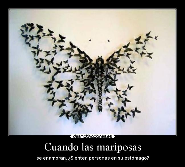 Cuando las mariposas - se enamoran, ¿Sienten personas en su estómago?