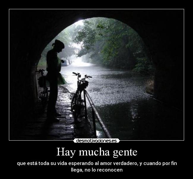 Hay mucha gente - que está toda su vida esperando al amor verdadero, y cuando por fin
llega, no lo reconocen