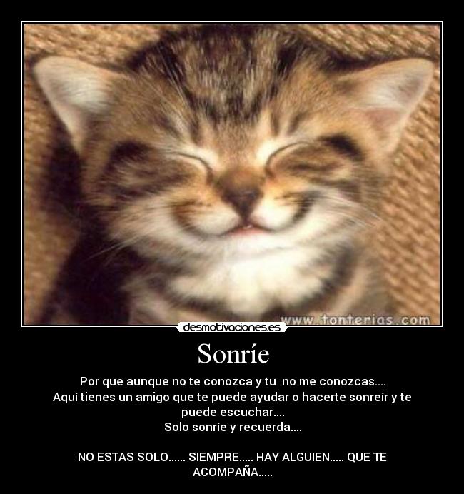 http://img.desmotivaciones.es/201109/3710_Sonrie_1.jpg