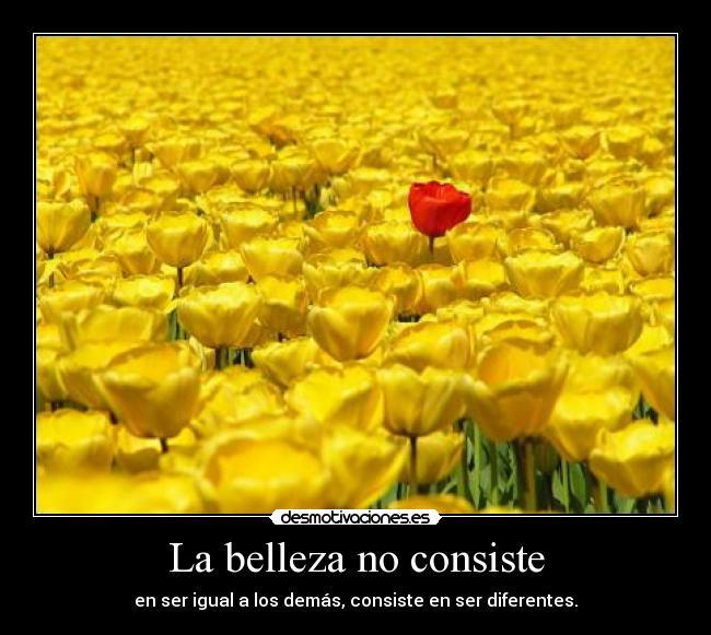 carteles rosas desmotivaciones