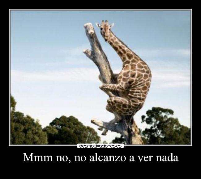 Mmm no, no alcanzo a ver nada - 