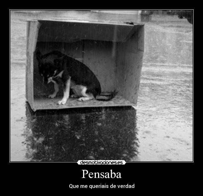 Pensaba - Que me queriais de verdad