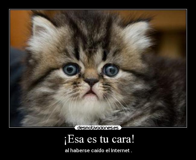 ¡Esa es tu cara! - al haberse caído el Internet .