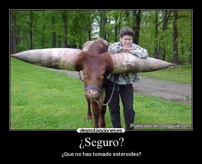 ¿Seguro? -