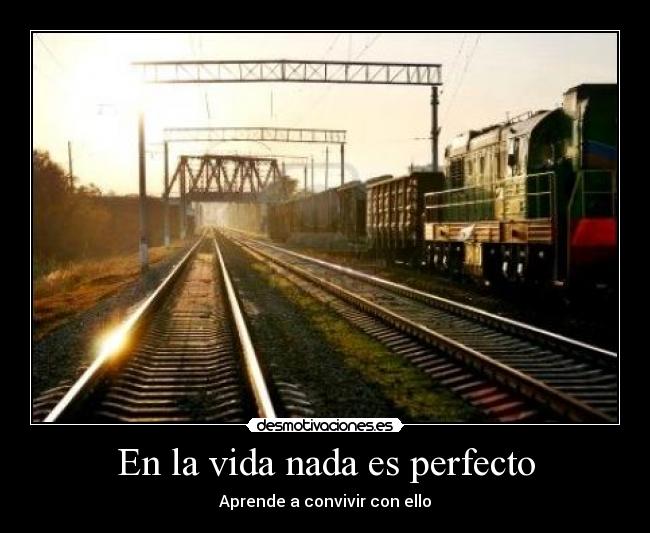 En la vida nada es perfecto - Aprende a convivir con ello