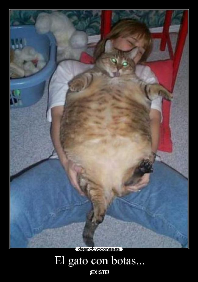 El gato con botas... - ¡EXISTE!