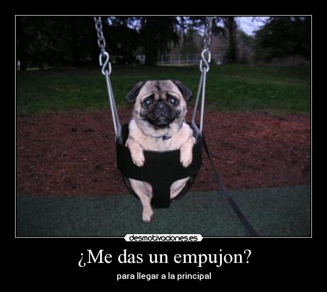 ¿Me das un empujon? -