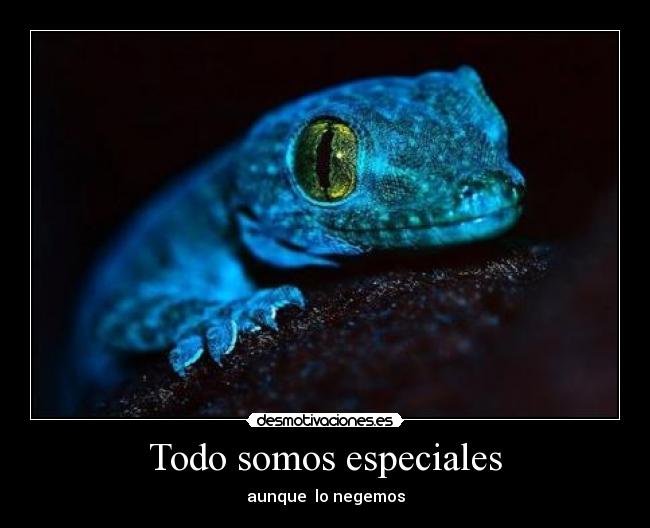 Todo somos especiales -