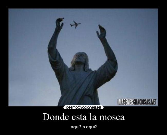 Donde esta la mosca - aqui? o aqui?