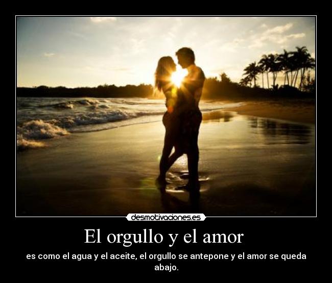 carteles amor orgullo amor pareja agua aceita love desmotivaciones