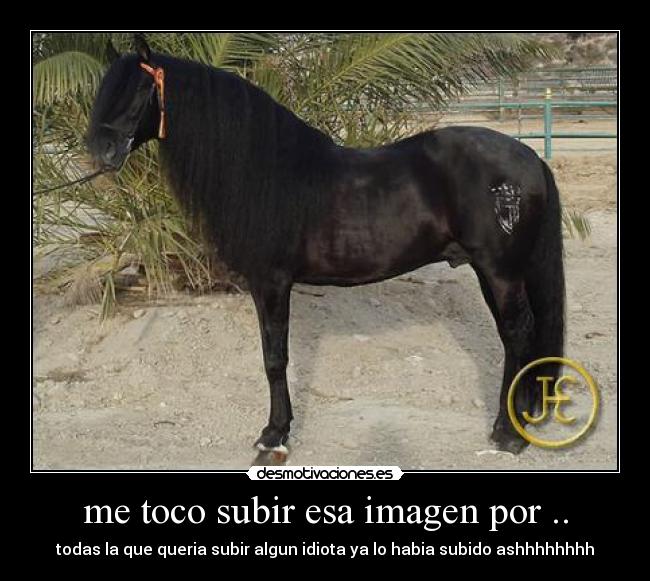 me toco subir esa imagen por .. -