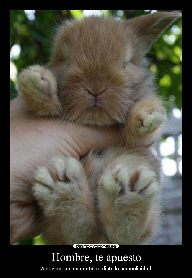 Hombre, te apuesto - A que por un momento perdiste la masculinidad