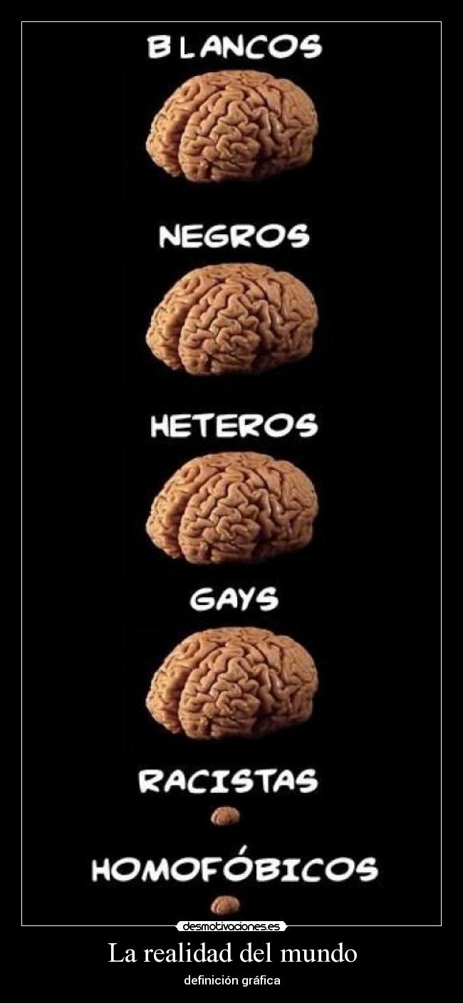 La realidad del mundo -