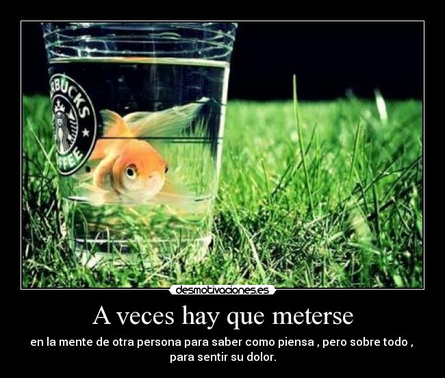 A veces hay que meterse - en la mente de otra persona para saber como piensa , pero sobre todo , 
para sentir su dolor.