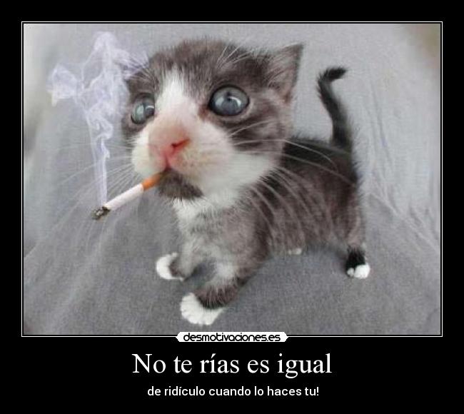 No te rías es igual - 
