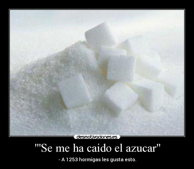 carteles malditas hormigas desmotivaciones