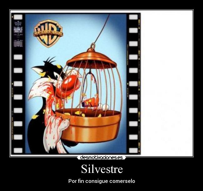 Silvestre -