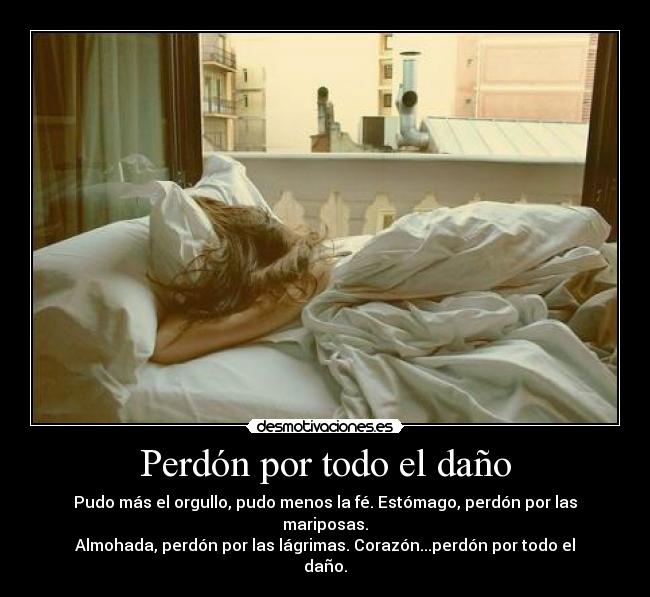 Perdón por todo el daño - 