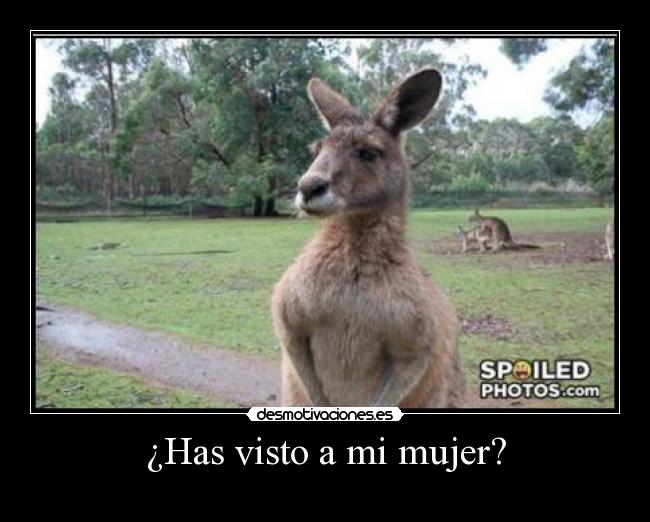 ¿Has visto a mi mujer? -