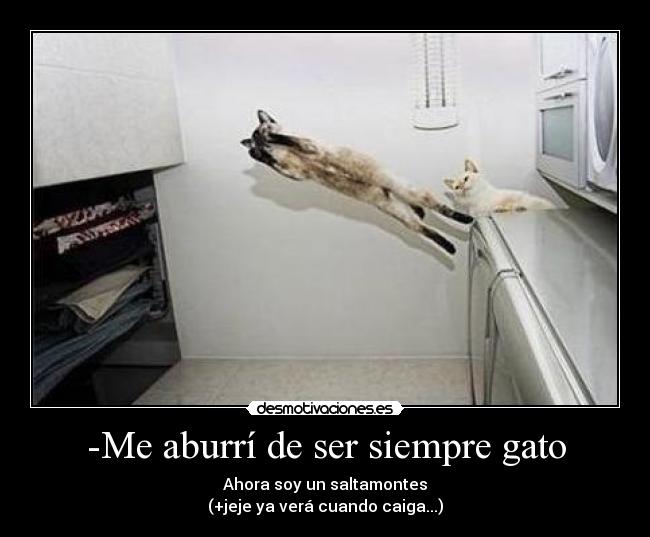 -Me aburrí de ser siempre gato - 