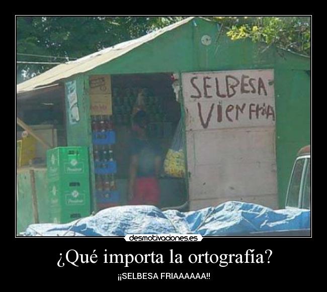 ¿Qué importa la ortografía? - ¡¡SELBESA FRIAAAAAA!!