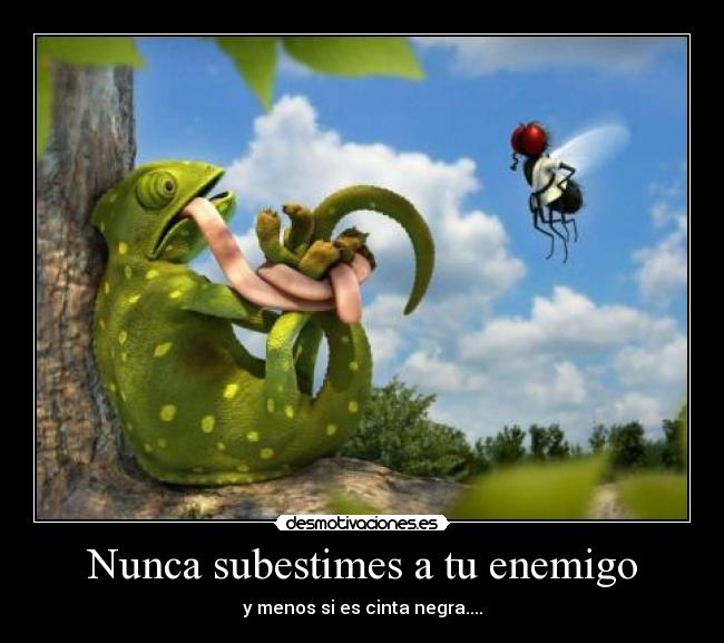 Nunca subestimes a tu enemigo - y menos si es cinta negra....