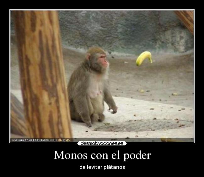 Monos con el poder - de levitar plátanos