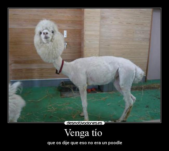 carteles world desmotivaciones