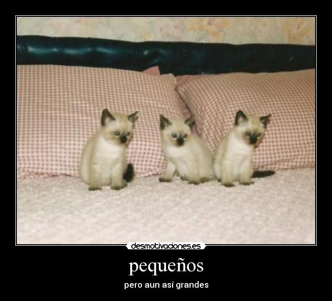 pequeños - pero aun así grandes
