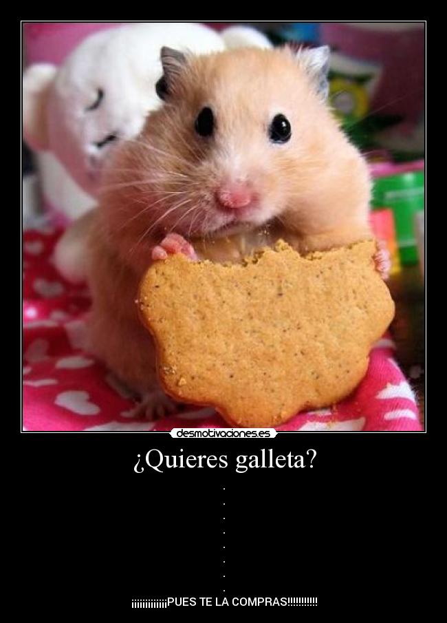 ¿Quieres galleta? -