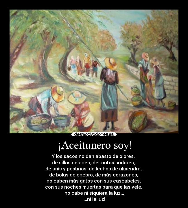 ¡Aceitunero soy! - Y los sacos no dan abasto de olores,
de sillas de anea, de tantos sudores,
de anís y pestiños, de lechos de almendra,
de bolas de enebro, de más corazones,
no caben más gatos con sus cascabeles,
con sus noches muertas para que las vele,
no cabe ni siquiera la luz...
...ni la luz!