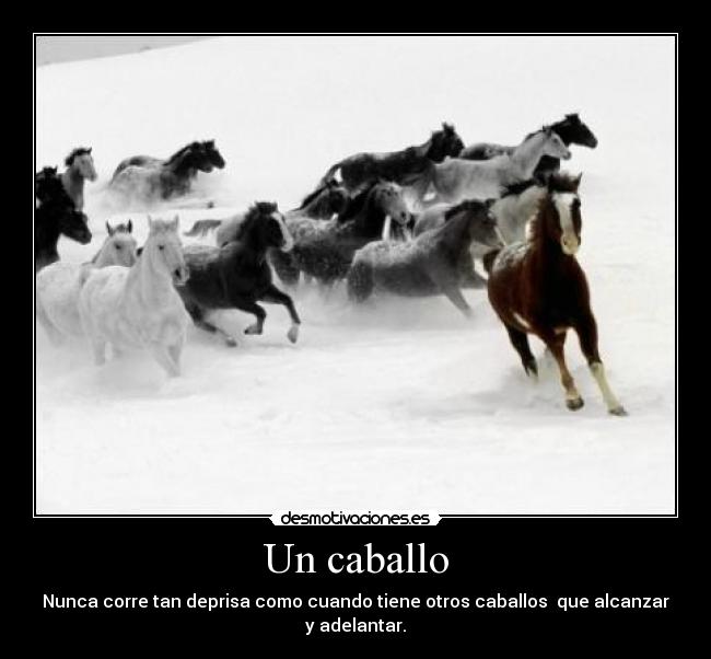 Un caballo - Nunca corre tan deprisa como cuando tiene otros caballos  que alcanzar y adelantar.