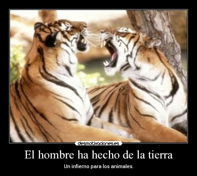 El hombre ha hecho de la tierra - 