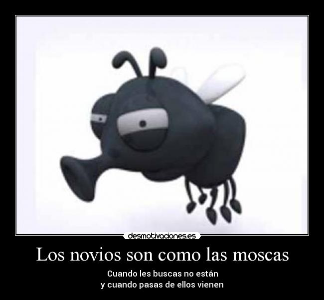 Los novios son como las moscas - Cuando les buscas no están
y cuando pasas de ellos vienen