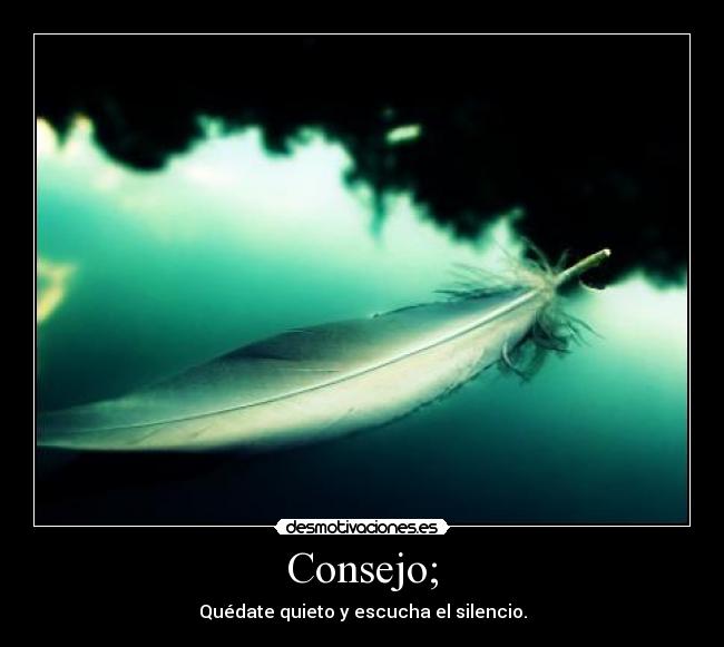 Consejo; - 