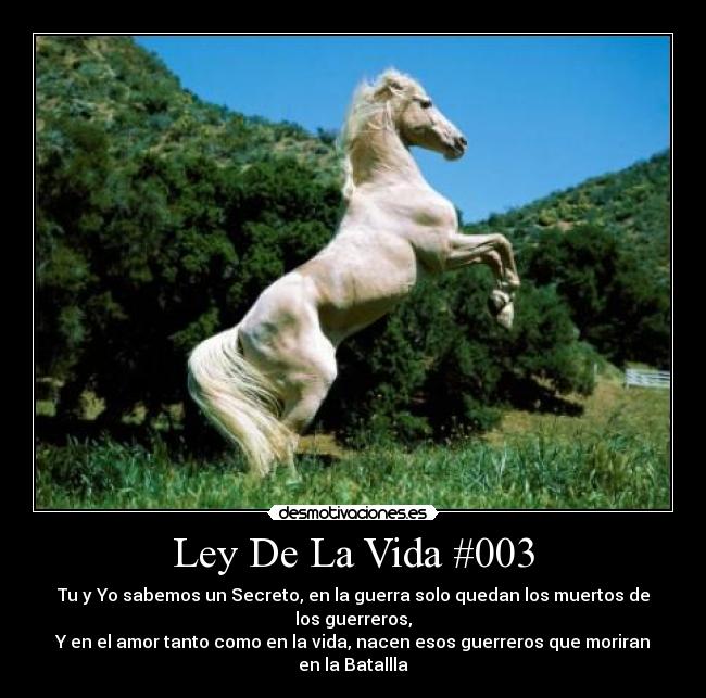 carteles vida ley vida desmotivaciones