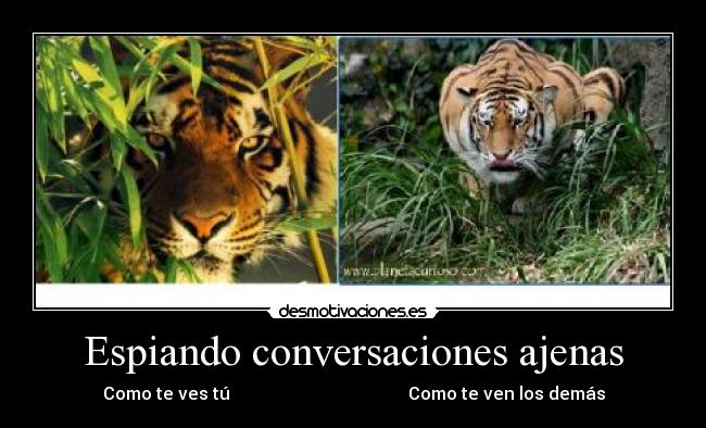 Espiando conversaciones ajenas - Como te ves tú                                         Como te ven los demás