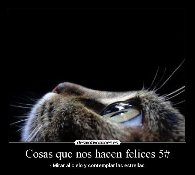 carteles kitty desmotivaciones