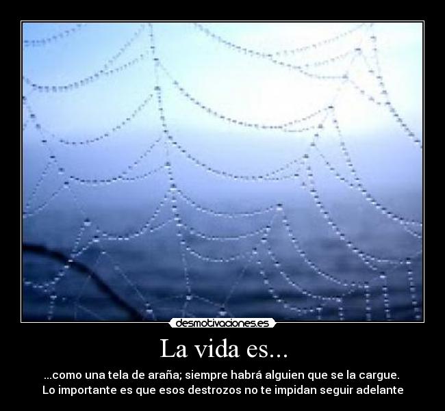 La vida es... -