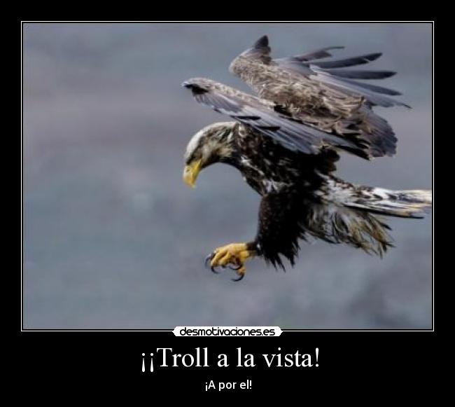 ¡¡Troll a la vista! - ¡A por el!
