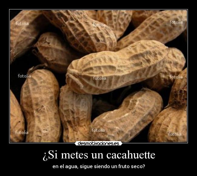 ¿Si metes un cacahuette - 